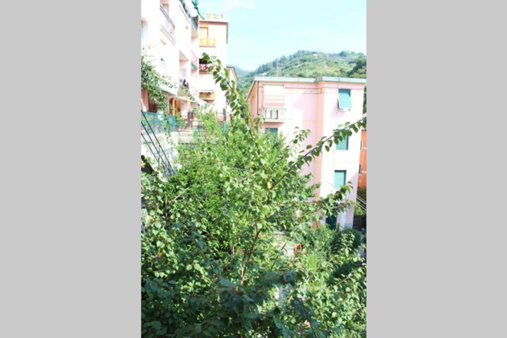 Ca Du Rocco - Citra 011019-Lt-0343 Lägenhet Monterosso al Mare Exteriör bild